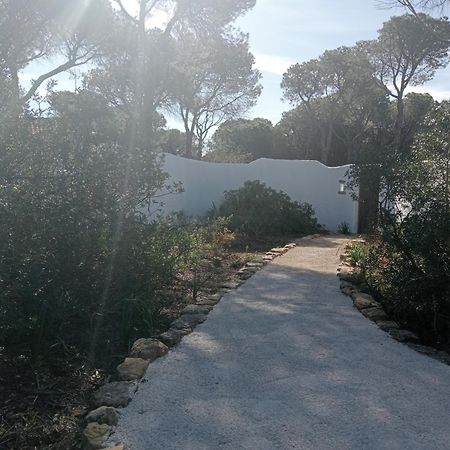 Villa Casa Palmito 2 à Chiclana de la Frontera Extérieur photo
