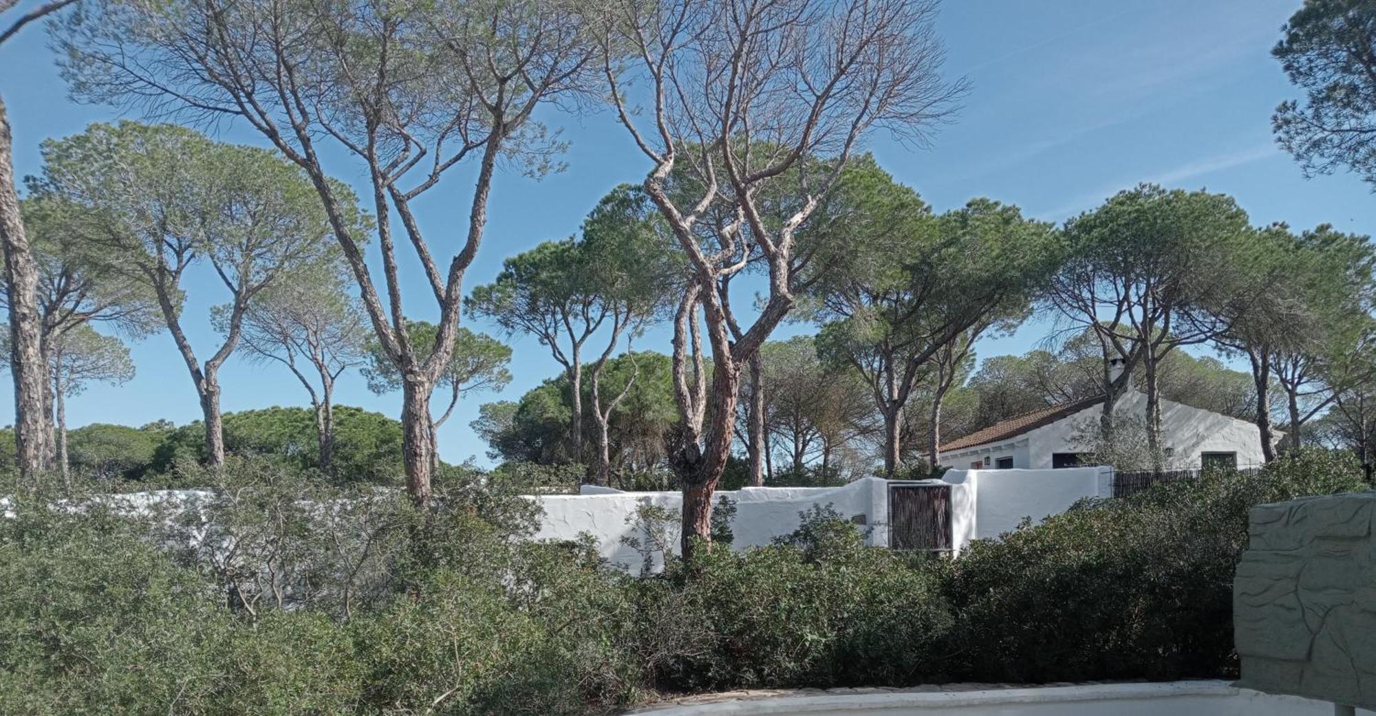 Villa Casa Palmito 2 à Chiclana de la Frontera Extérieur photo