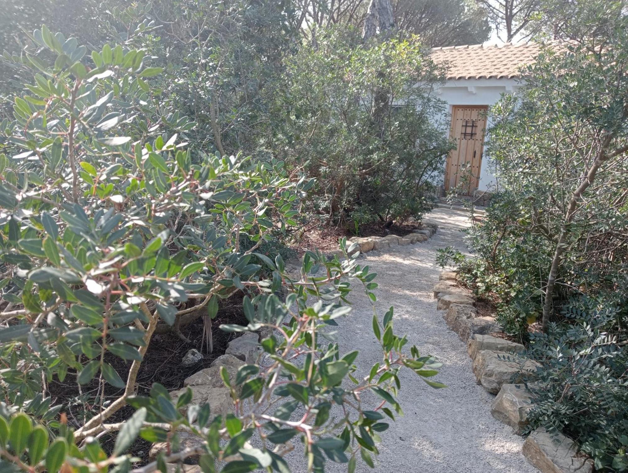 Villa Casa Palmito 2 à Chiclana de la Frontera Extérieur photo